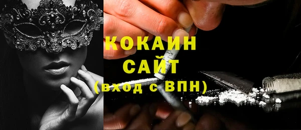 индика Медвежьегорск