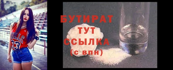 индика Медвежьегорск