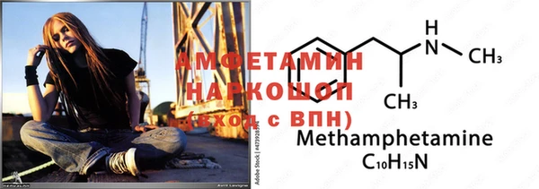 индика Медвежьегорск