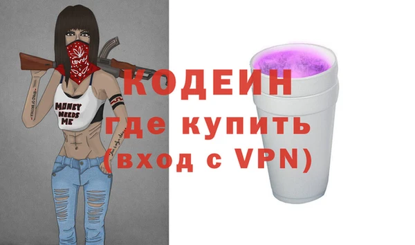 индика Медвежьегорск