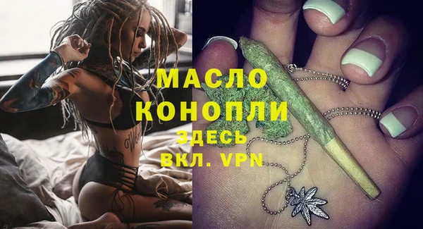 индика Медвежьегорск