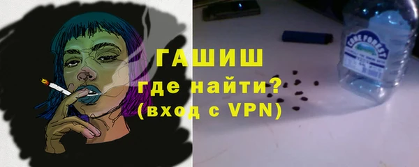 индика Медвежьегорск