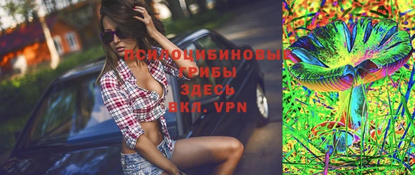 индика Медвежьегорск