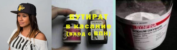 индика Медвежьегорск