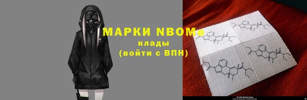 индика Медвежьегорск
