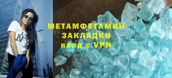 индика Медвежьегорск