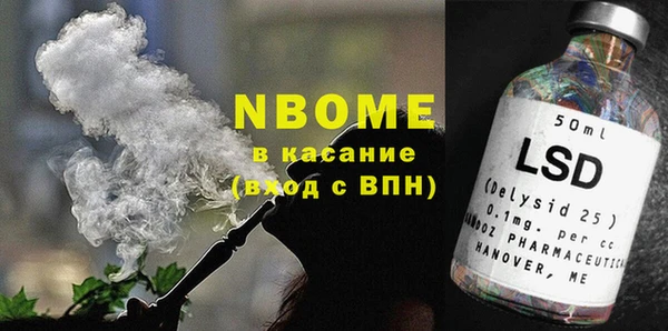 индика Медвежьегорск