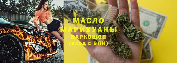 индика Медвежьегорск