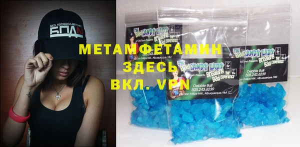 индика Медвежьегорск