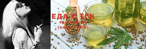 индика Медвежьегорск