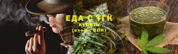 индика Медвежьегорск