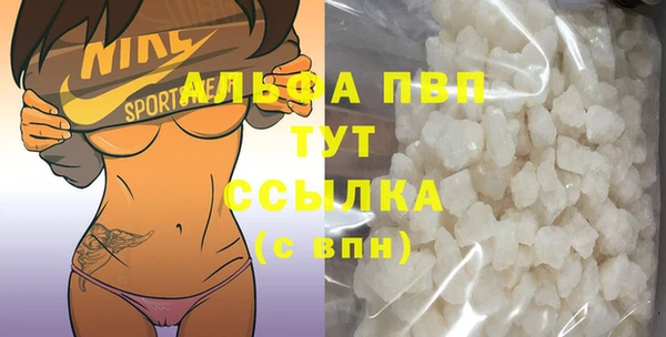 индика Медвежьегорск