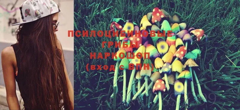 купить наркотики сайты  нарко площадка какой сайт  Галлюциногенные грибы MAGIC MUSHROOMS  Новосиль 