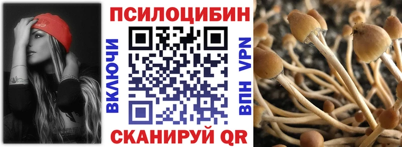 Псилоцибиновые грибы прущие грибы  mega онион  Новосиль 